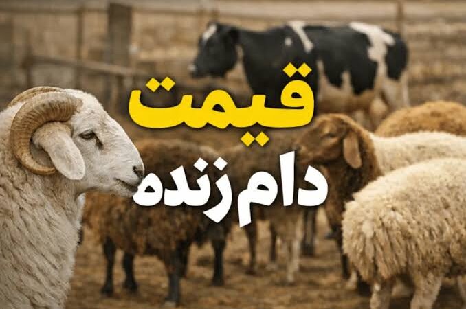 قیمت دام زنده امروز اعلام شد | درخواست افزایش مبلغ کالابرگ و توقف واردات گوشت