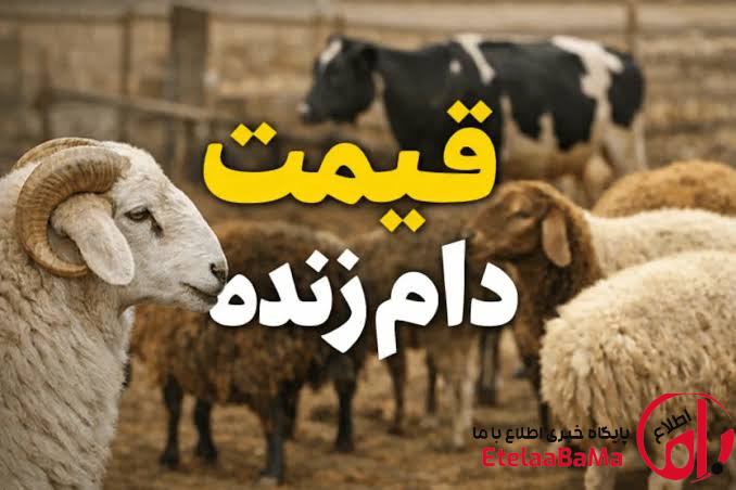 قیمت دام زنده امروز اعلام شد | درخواست افزایش مبلغ کالابرگ و توقف واردات گوشت