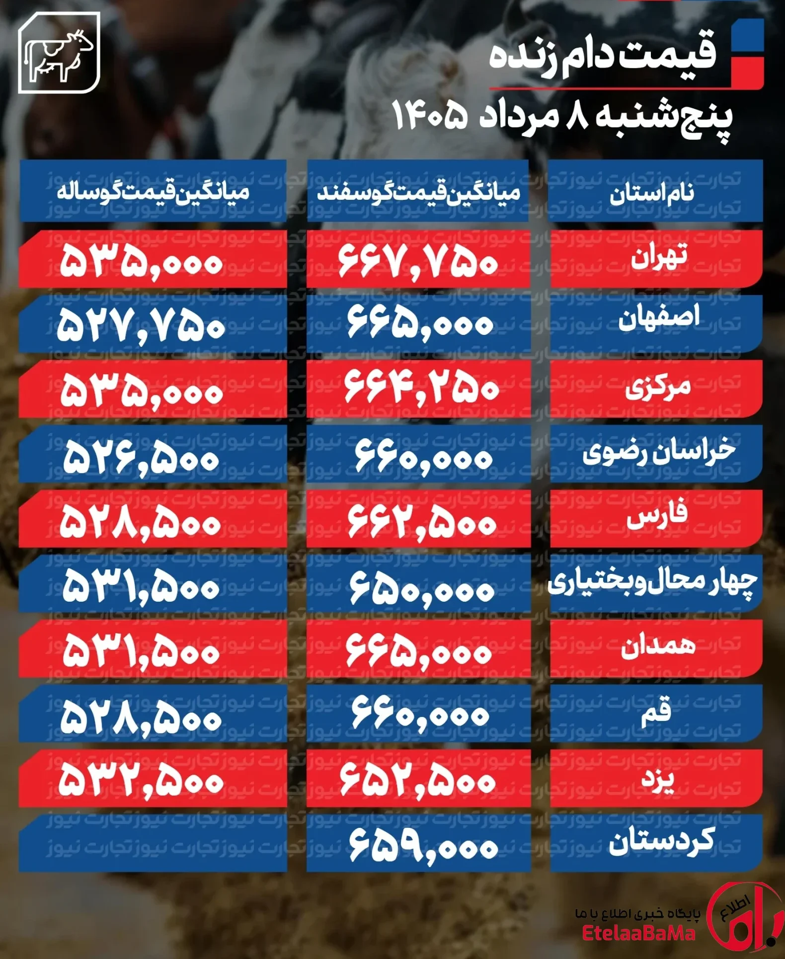 بازار دام زنده