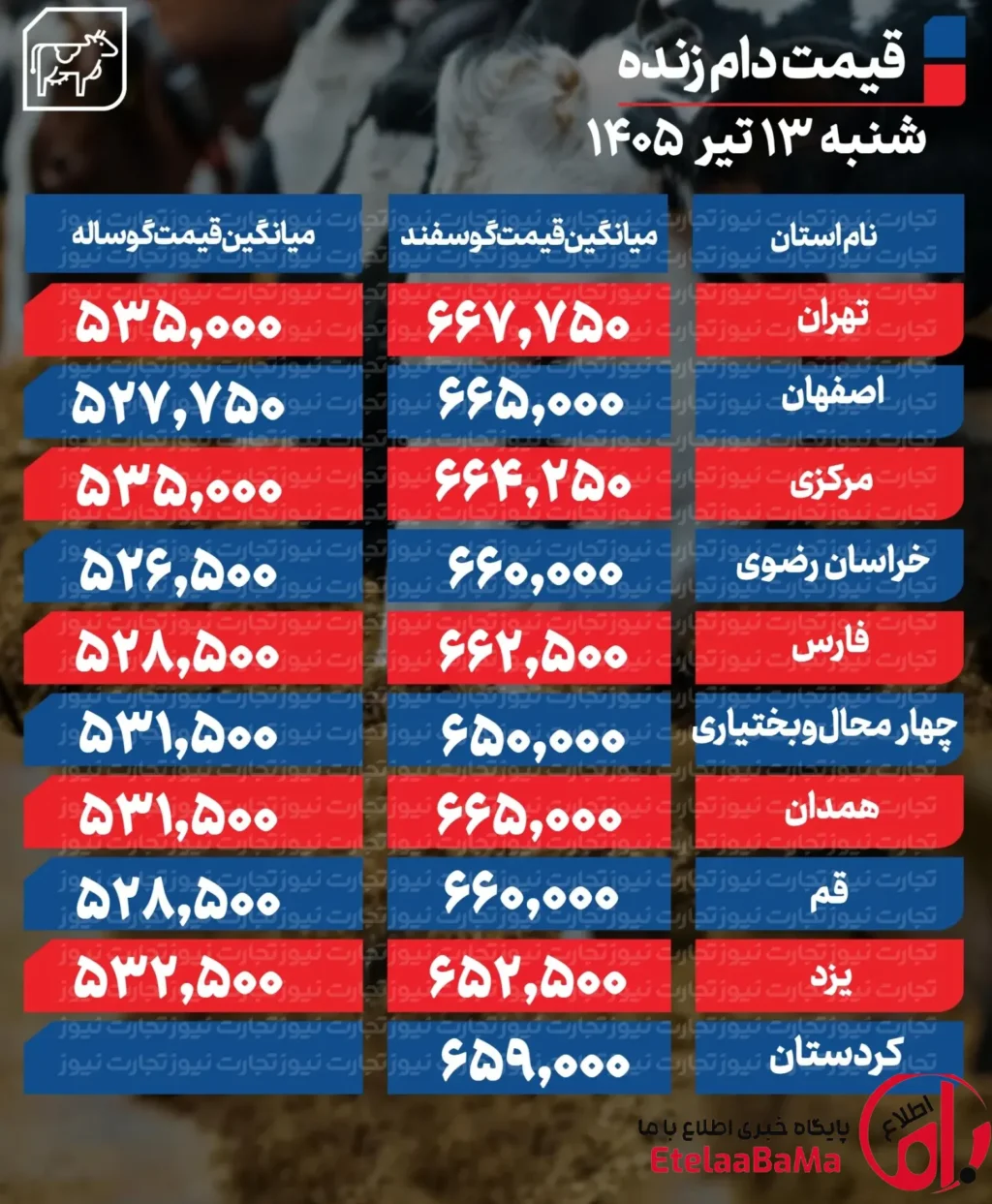 قیمت دام زنده