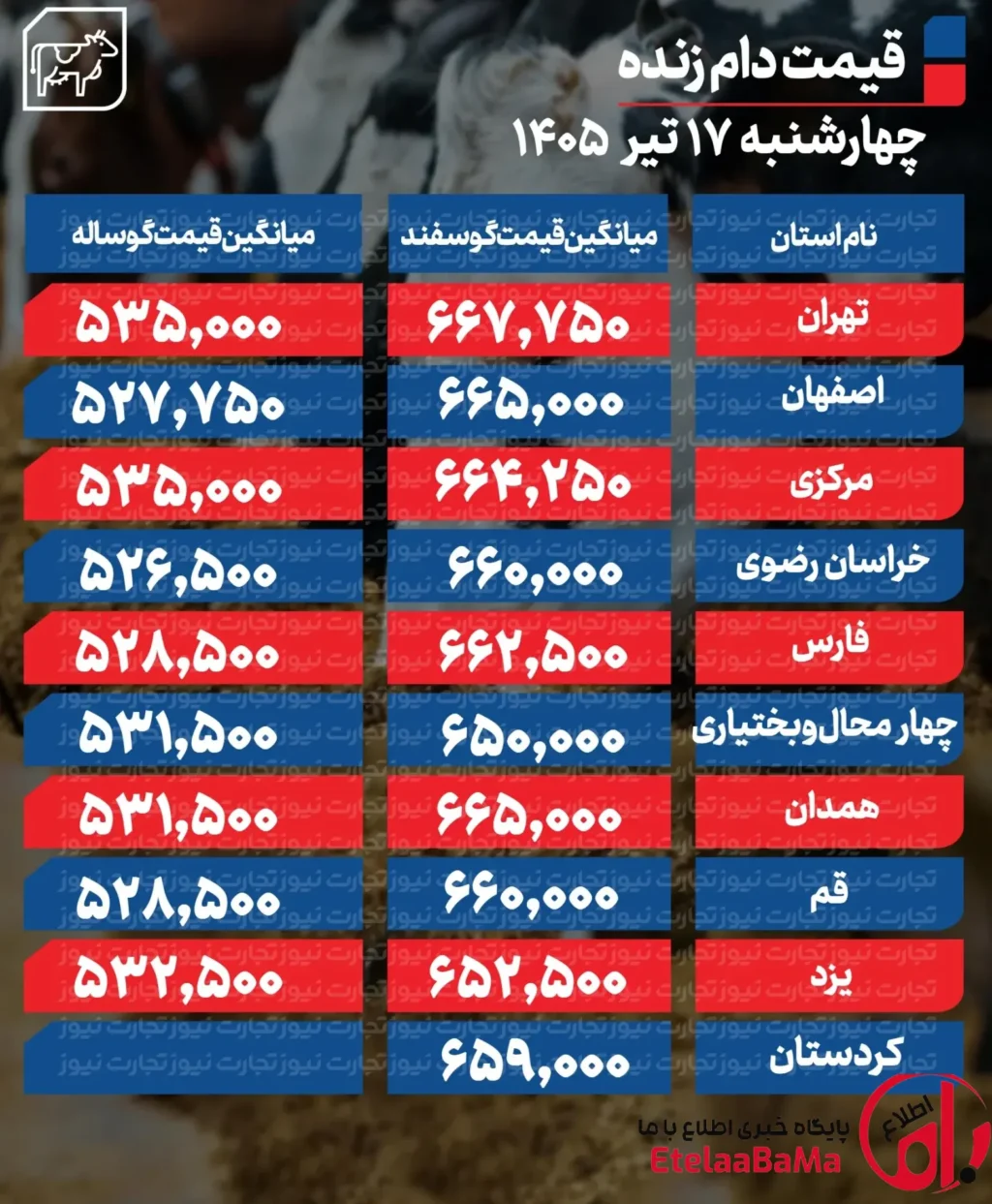 قیمت دام زنده