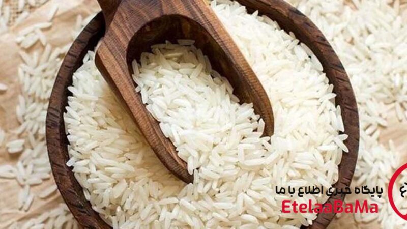 قیمت برنج ایرانی امروز ۱۴ تیر + جدول انواع برنج