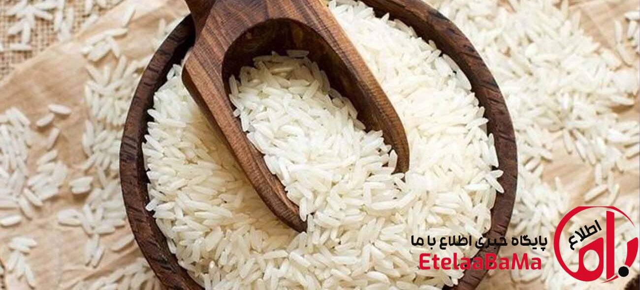 قیمت برنج ایرانی امروز ۱۴ تیر + جدول انواع برنج