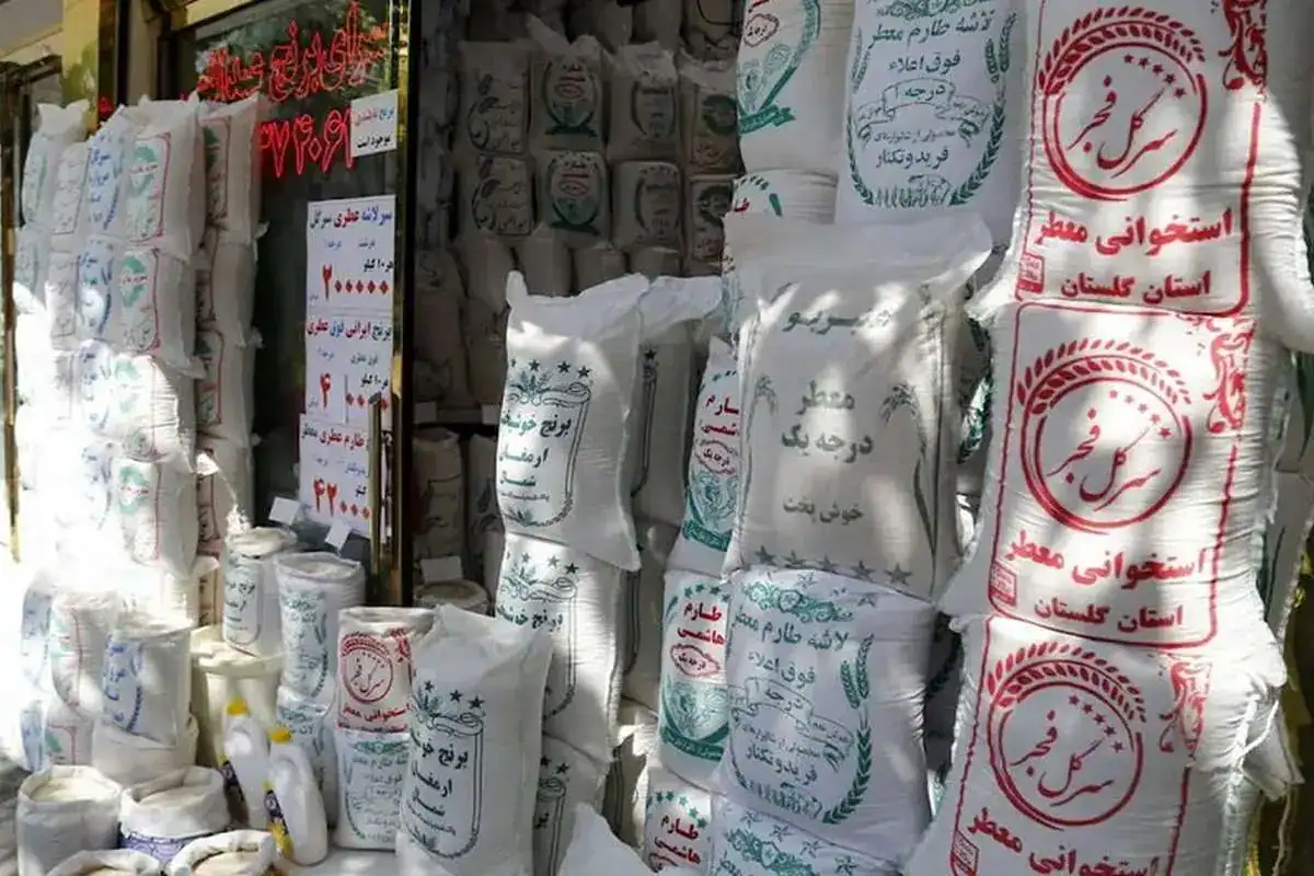 قیمت جدید برنج هندی اعلام شد؛ نرخ انواع برنج ۱۱۲۱ و ۱۵۰۹ در بازار امروز