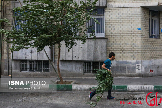 وزش باد و خیزش گردوخاک برای برخی مناطق کشور طی ۵ روز آینده