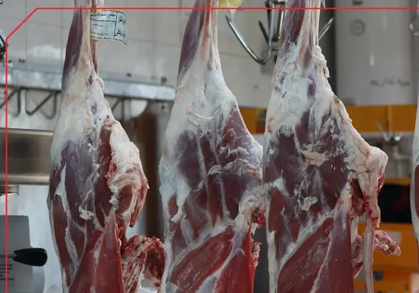 قیمت گوشت قرمز امروز ۲۶ مرداد ۱۴۰۵/ثبات در بازار