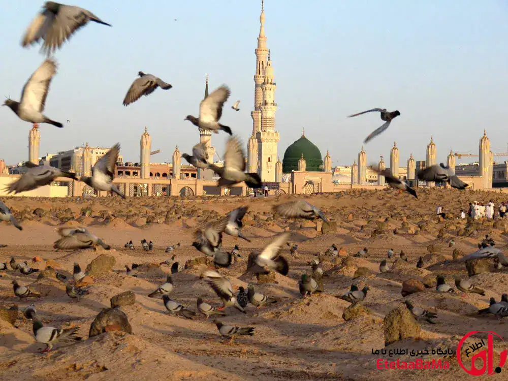 ۲۸ صفر؛ راز آخرین روزهای پیامبر(ص) و روایتی که قرن‌هاست محل بحث است
