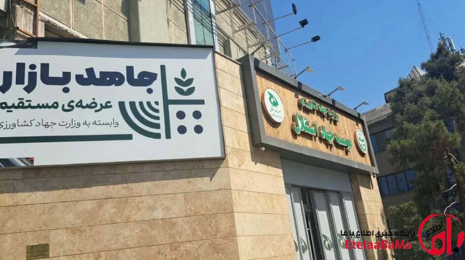 فروشگاه جاهد زیر ذره‌بین قیمت‌ها؛ وقتی عنوان دولتی، مزیت خرید ایجاد نمی‌کند
