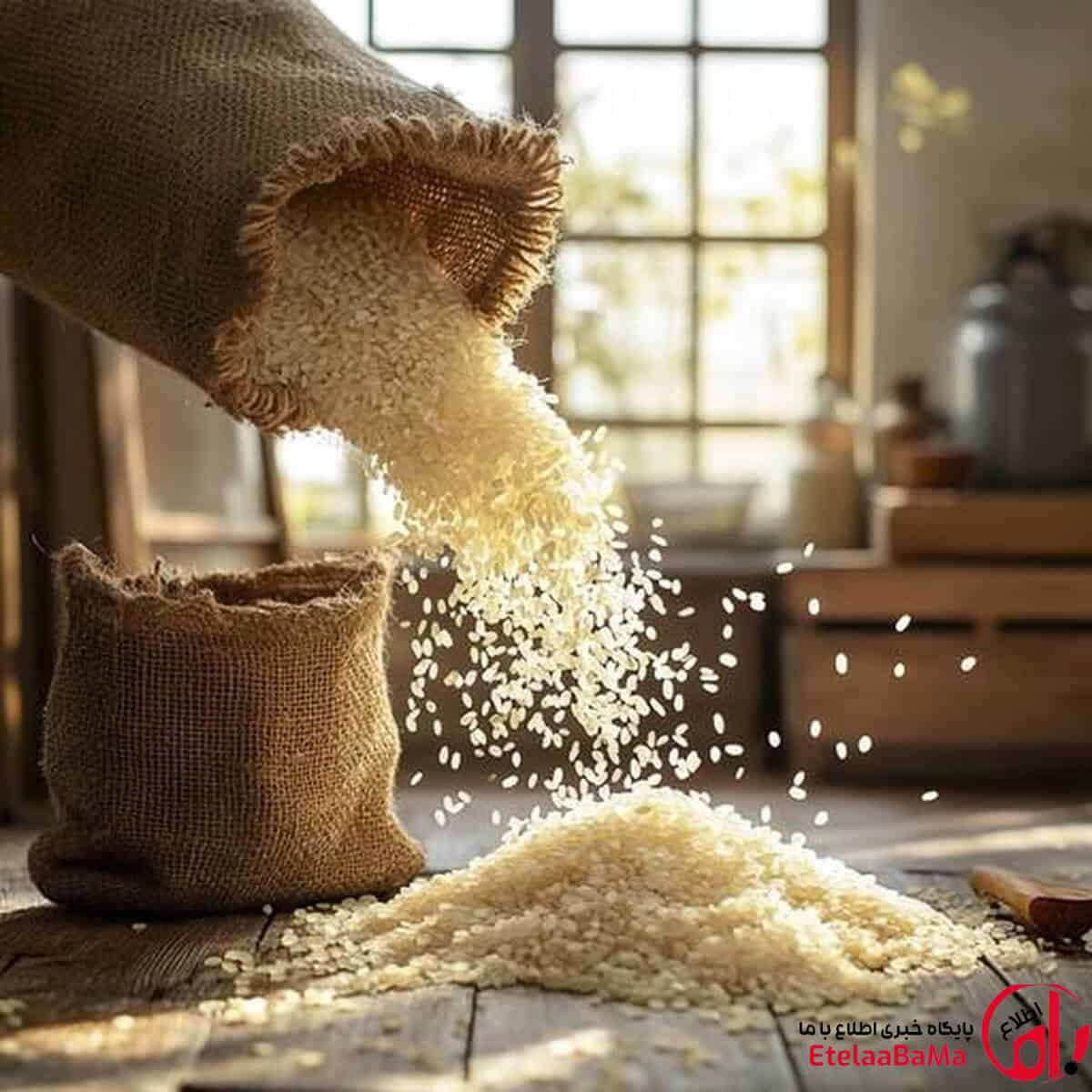 قیمت برنج امروز ۲۶ مرداد ۱۴۰۵