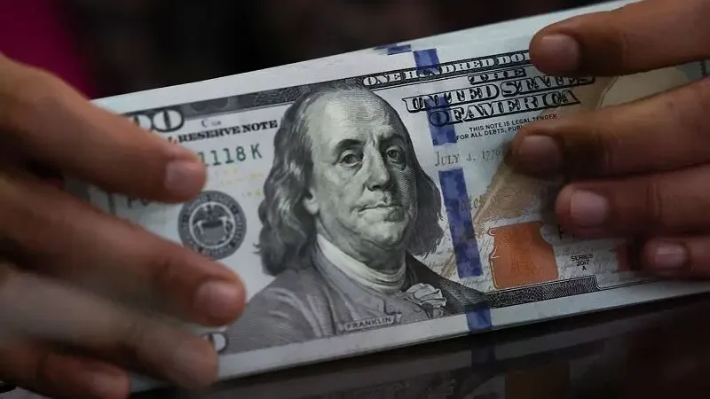 دلار دولتی با کارت ملی چقدر سود دارد؟ چرا فقط ۴ درصد از عرضه بانک مرکزی فروش رفت؟