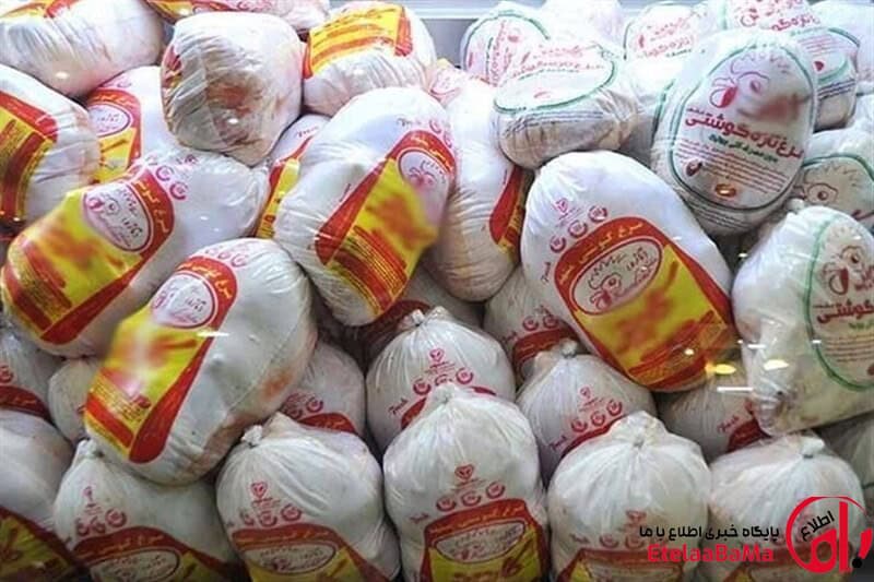 آغاز خرید حمایتی مرغ از ۲۳ شهریور/نرخ ۳۳۵ هزار تومان