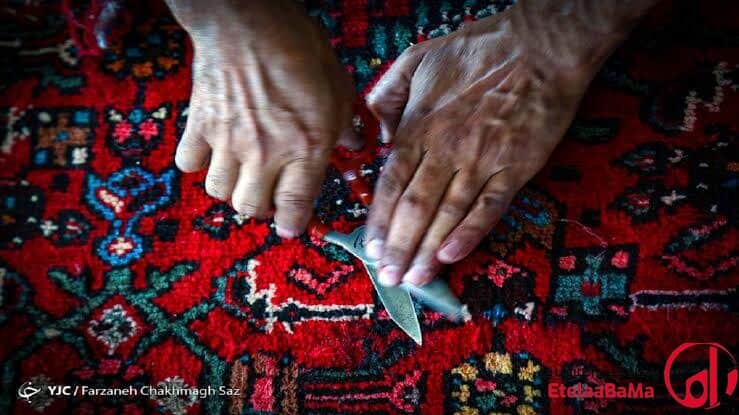 بیمه رایگان بافندگان فرش دستباف | ۷۰٪ یارانه دولت