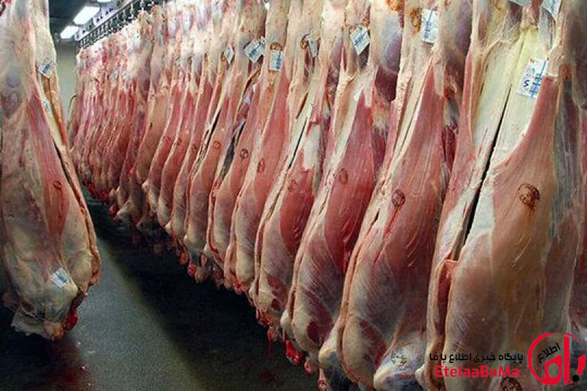 هشدار درباره افزایش قیمت گوشت در نیمه دوم سال/کاهش واردات