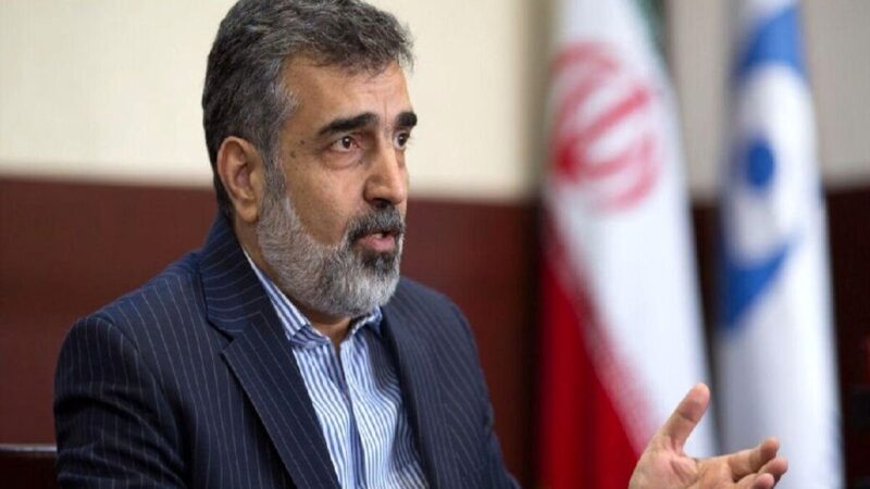 کمالوندی: ممانعت آمریکا از حضور ایران در نشست آژانس، مخرب و کودکانه است
