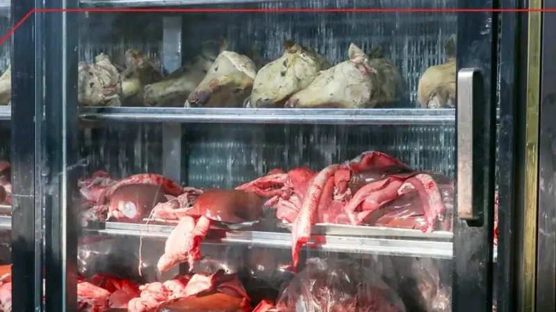 قیمت گوشت قرمز امروز شنبه ۴ مهر ۱۴۰۵؛ نرخ گوشت گوسفندی و گوساله