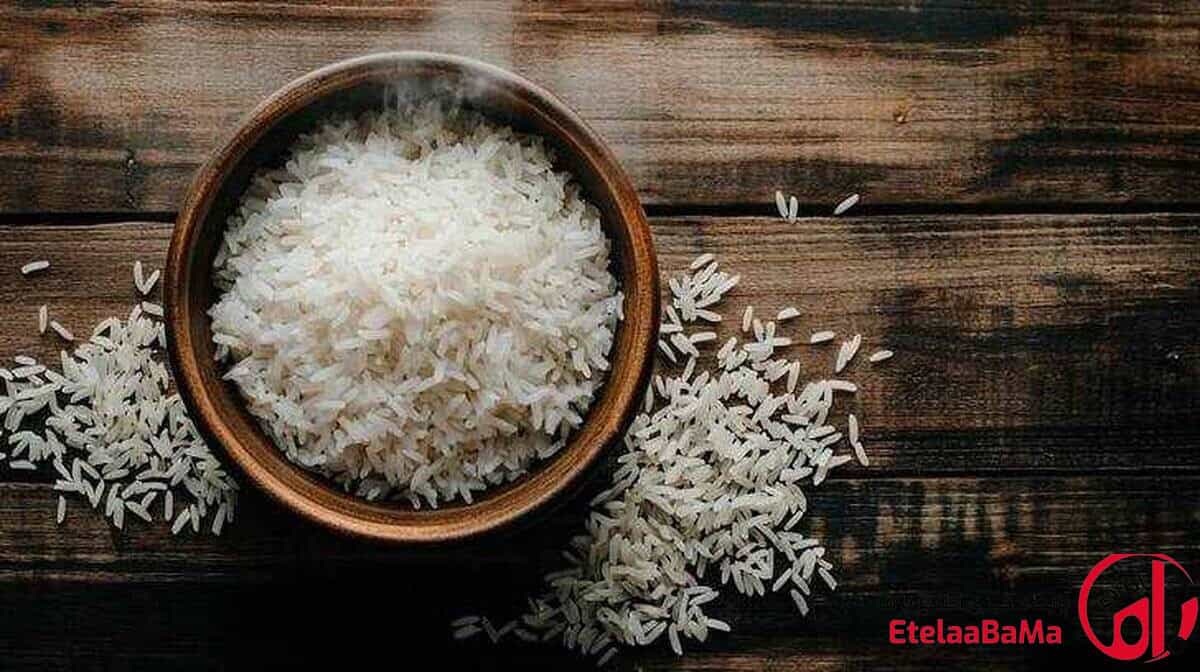 قیمت برنج امروز ۲۳ شهریور | طارم و هاشمی ۴۷۰ هزار تومان