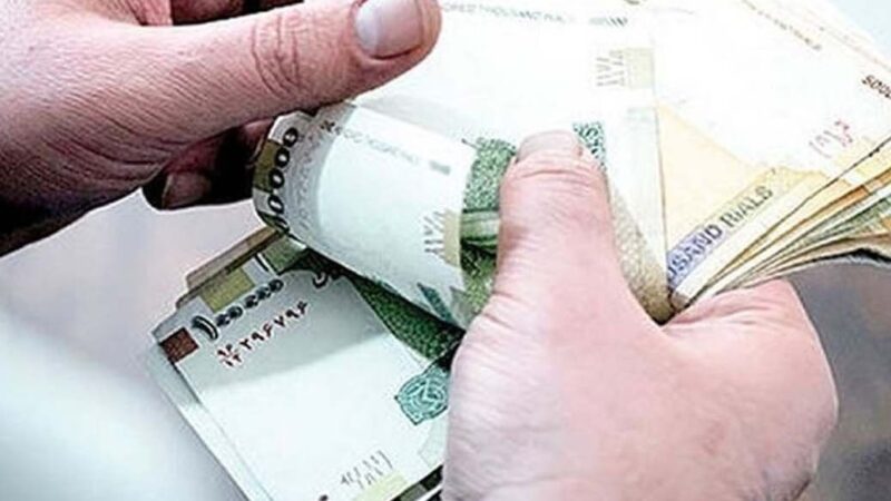 واریزی یک میلیون تومانی برای کارمندان دولت؛ کیف پول الکترونیکی وارد مرحله اجرا شد