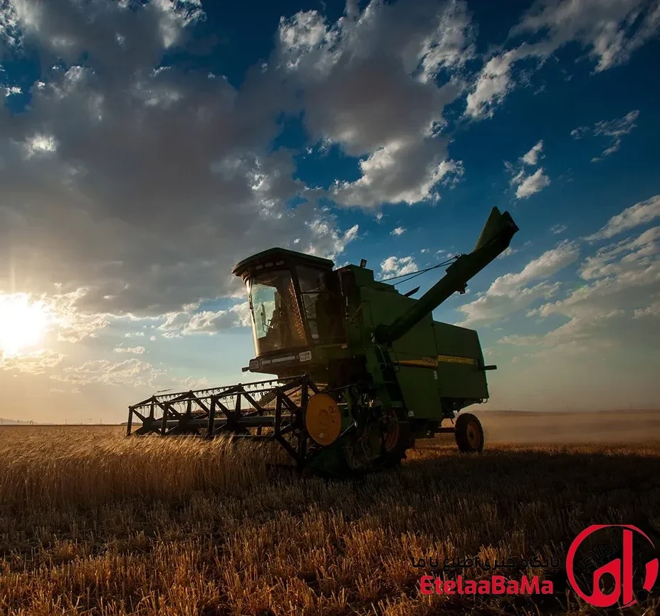 سند تک‌برگ زمین کشاورزی برای قطعات کوچک؛ شرط مهم برای دریافت سند اعلام شد